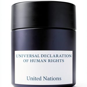 International Law Kindle Book Amazon 27‑Page Guide-0