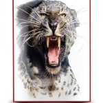 Big Game Hunting Memoir Kindle eBook by Magron Publishers 365 Pages-0