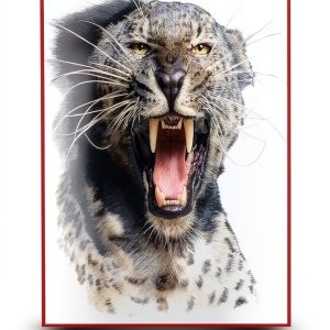 Big Game Hunting Memoir Kindle eBook by Magron Publishers 365 Pages-0