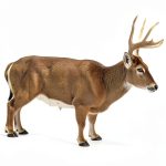Hunting Guide Barry Wensel Kindle eBook 325 Page Outdoor Manual-0